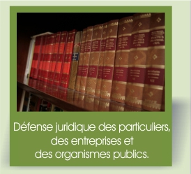 Défense juridique des particuliers, des entreprises et des organismes publics
